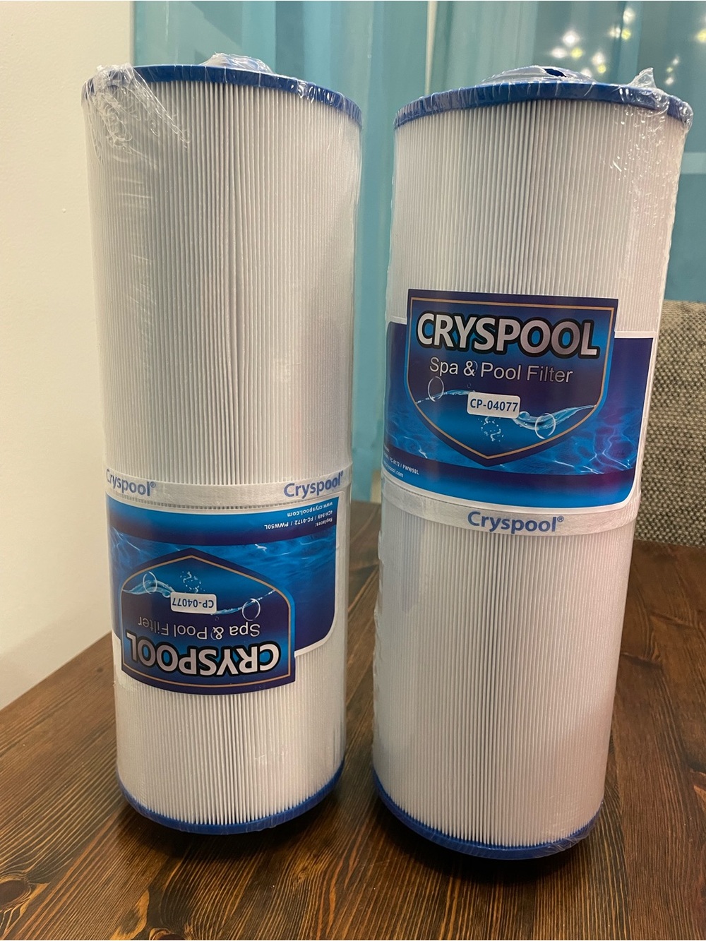 Cryspool Spa & Pool Filter - CP-04077 - Picture 2 of 6
